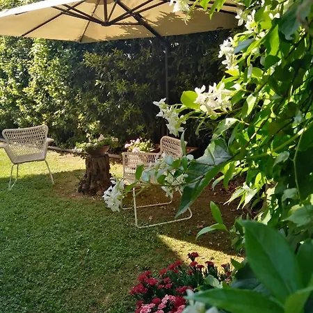 Bio Vivere La *
